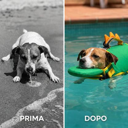 Dog Life Jacket